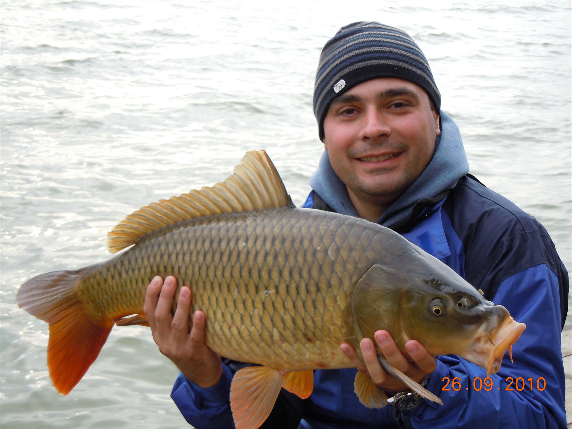 Bunget 2010 - dscn0240.jpg